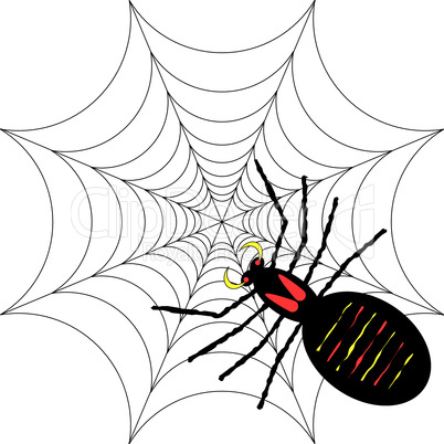 Spinne