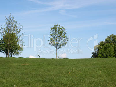 Primrose Hill, London