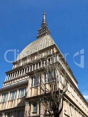 Mole Antonelliana, Turin