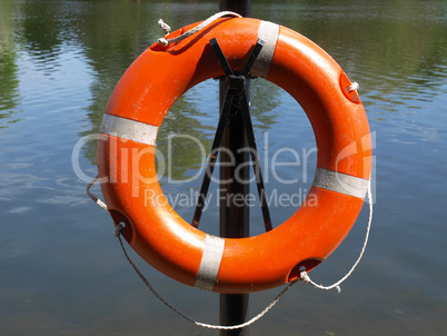 Lifebuoy