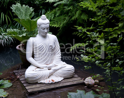 Buddha statue in pond