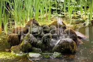 Fountain landing on mossy rocks