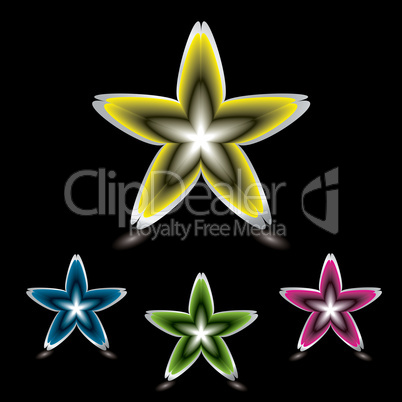 star flower icon black