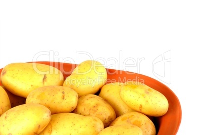 Frisch geerntete Kartoffeln in Tonschale