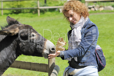 Girl feeding donkey