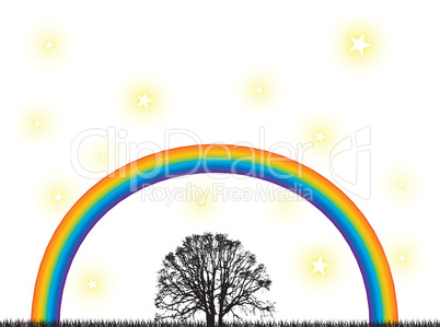 rainbow tree