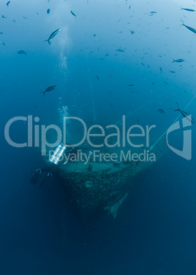 Scuba diver exploring Shipwreck SS Thistlegorm