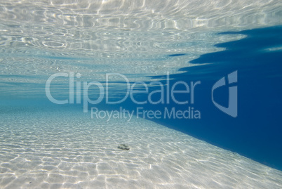 Ripples of sunlight underwater