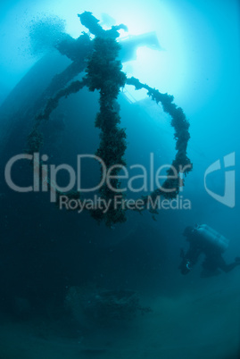 Scuba diver exploring the shipwreck, the El Arish