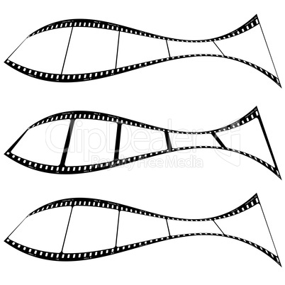 photo film strip fish