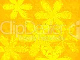 petal yellow