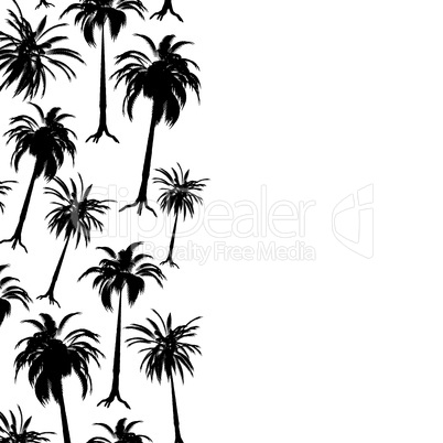 palm border