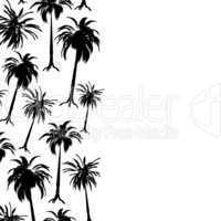 palm border
