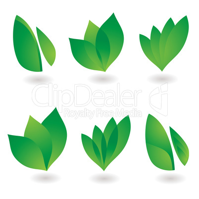 leaf icon