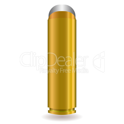large rifle bullet