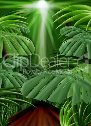 Jungle Background (Front leaf path included)