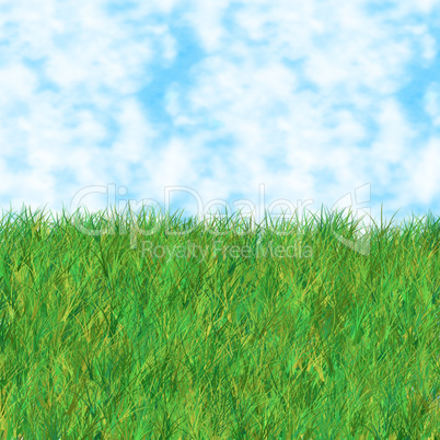 grass sky