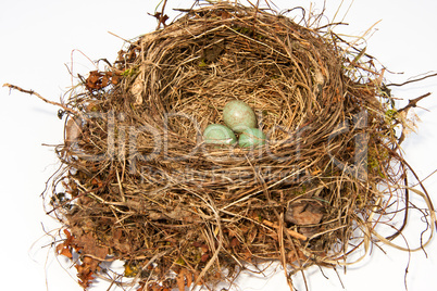 Vogelnest, bird's nest