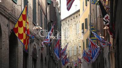 Sienese Flags