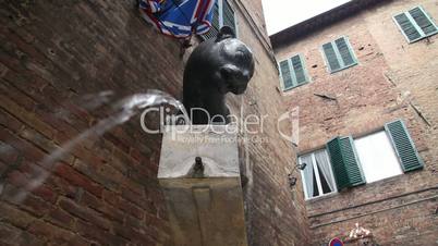 Fountain in Siena
