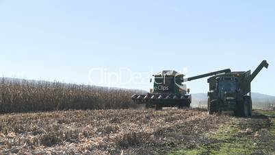A corn harvester unloads into a bin