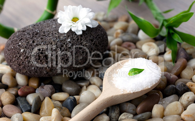 Badesalz / bath salt