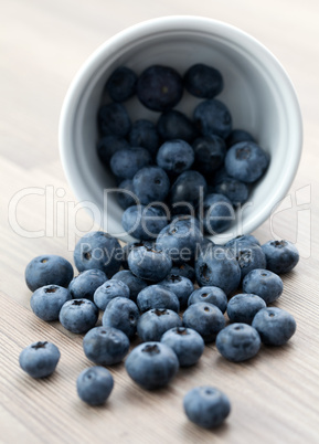 frische Heidelbeeren / fresh bilberry