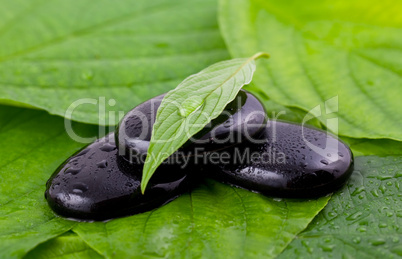 Steine mit Blatt / stone with leaf