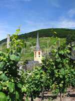 Kirche von Senheim an der Mosel