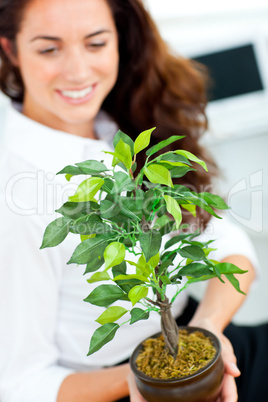 businesswoman holding a plant