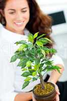 businesswoman holding a plant