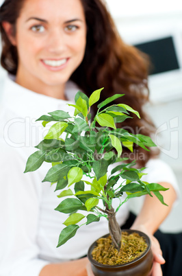 businesswoman holding a plant