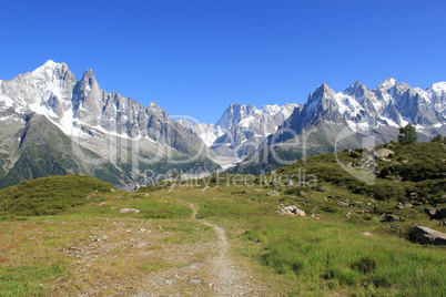 Mont-Blanc massif and small path