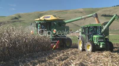corn transferred from harvester to field bin