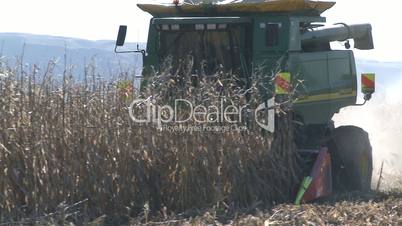 corn harvester at work
