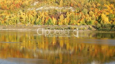 Fluss in einer Herbstlandschaft