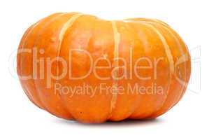 Single fresh pumpkin