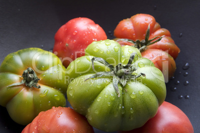 Tomaten