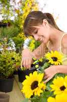 Gardening - woman cutting sunflower