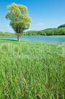 Mountain lake with green meadow