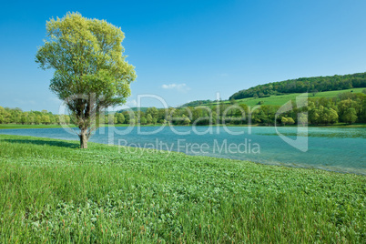 Mountain lake with on isolated tree