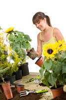 Gardening - smiling woman holding flower pot with sunflower