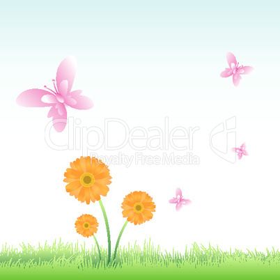 butterflys and flowers