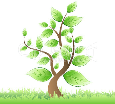 illustration of vector tree