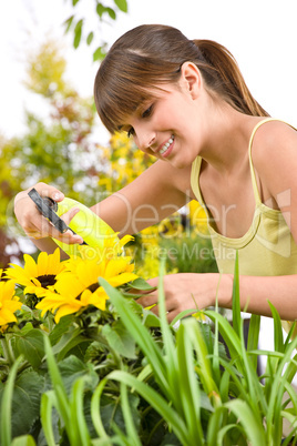 Gardening - woman sprinkling water on sunflower blossom