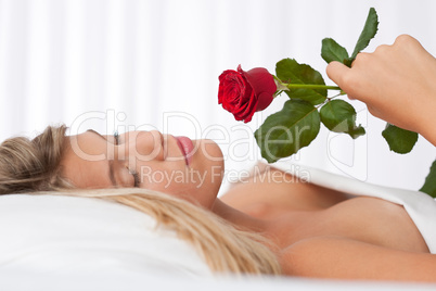 White lounge - Beautiful woman lying in white bed holding red ro