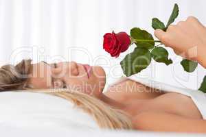 White lounge - Beautiful woman lying in white bed holding red ro
