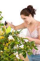 Gardening - woman sprinkling water on Rhododendron flower blosso