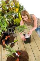 Gardening - woman with bonsai tree and plants