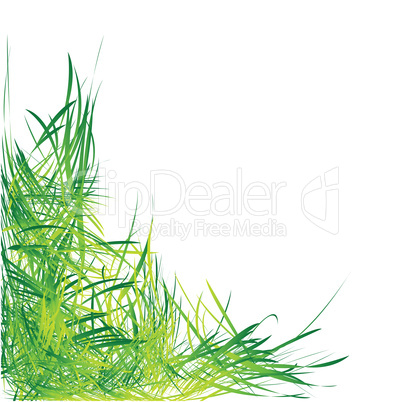 GRASS